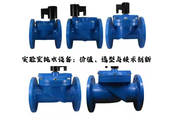 实验室纯水设备：价值、选型与技术创新深度解析