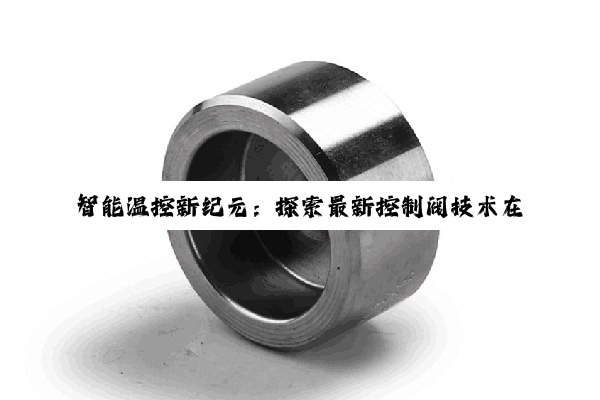 智能温控新纪元：探索最新控制阀技术在绿色节能领域的应用与突破