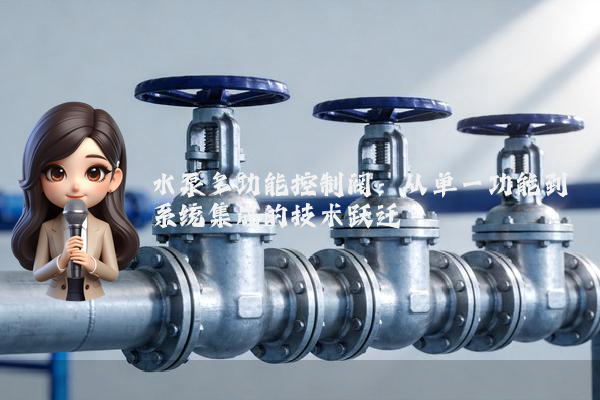 水泵多功能控制阀:从单一功能到系统集成的技术跃迁